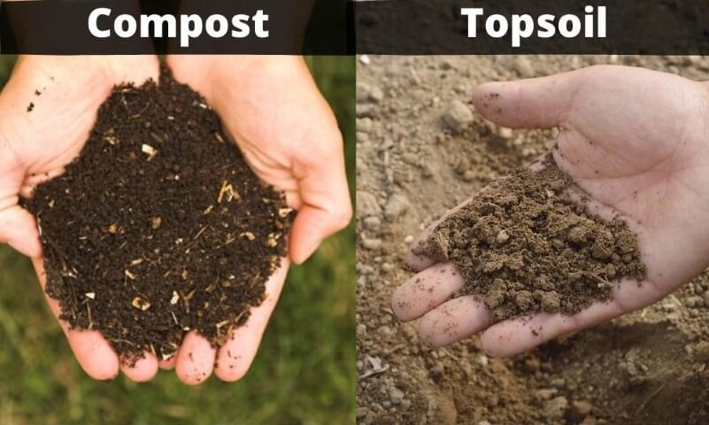 Topsoil or compost