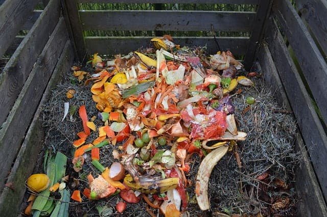 Prepare Organic Compost At Home