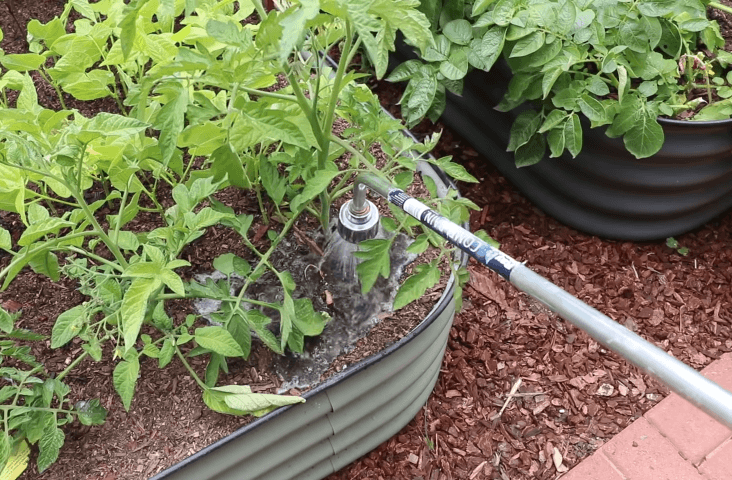 Does a vegetable garden need water every day? 1 Does a vegetable garden need water every day