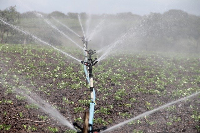 Best Way to Water a Large Garden